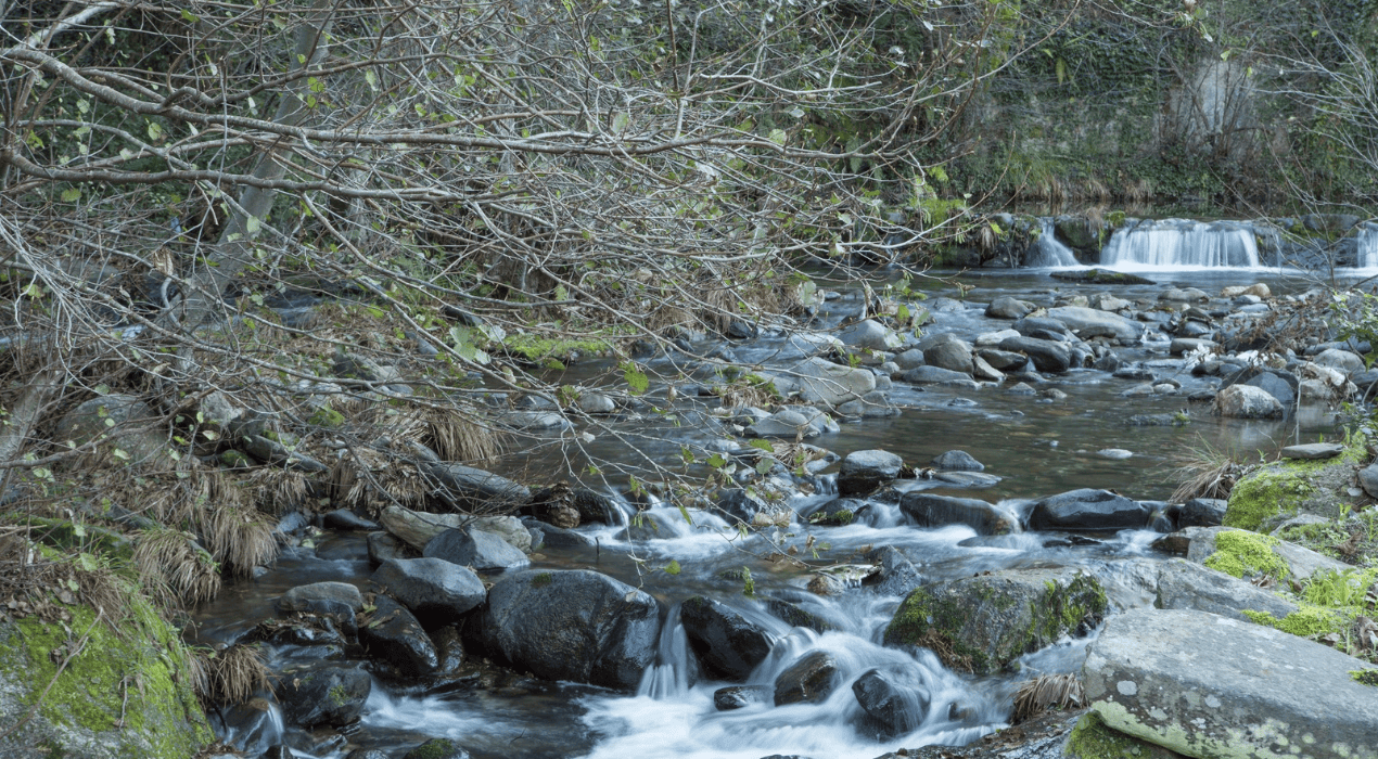 Destaque-site-